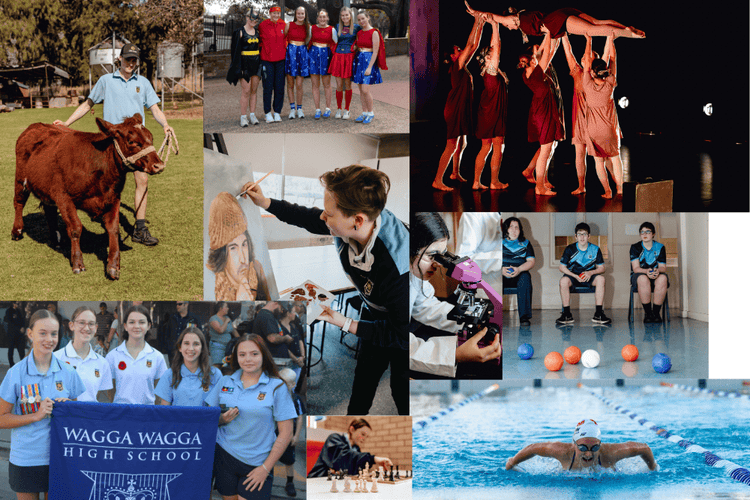 Activities Collage